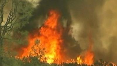 Wildfires in California