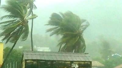 Tropical storm Isaac batters palm trees