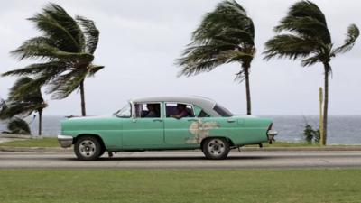 Strong winds blow palm trees in Havana in Cuba