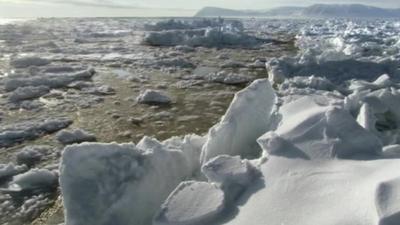 Chunks of ice floating past an ice sheet