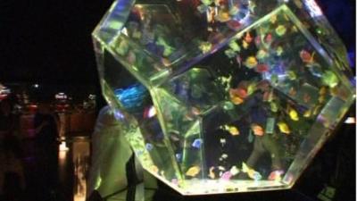 Designer fish tanks in Tokyo