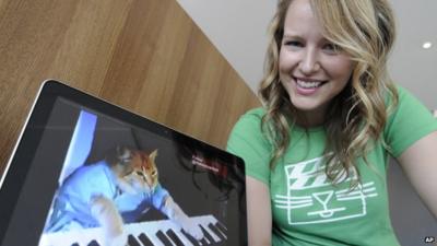 Katie Hill with a video of a cat playing the keyboard