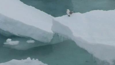 Melting white Arctic ice