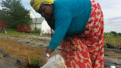 Somali Bantu farmer in Maine