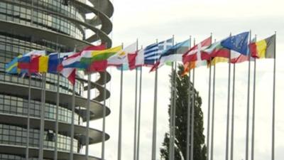 EU flags