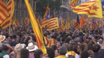 Protesters with flags