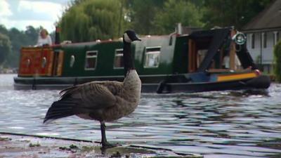 Henley-on-Thames