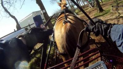 Horse driving