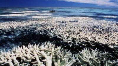 Great Barrier Reef