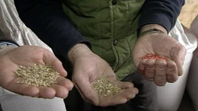 People holding crops