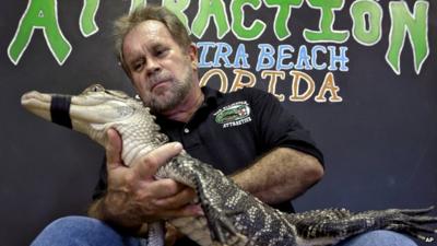 Bob Barrett with an alligator