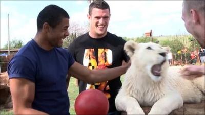 The England players meet a white lion