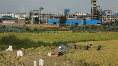 Factory and field in China