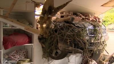 Car crashes into bedroom