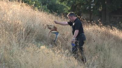 Police officer with dog