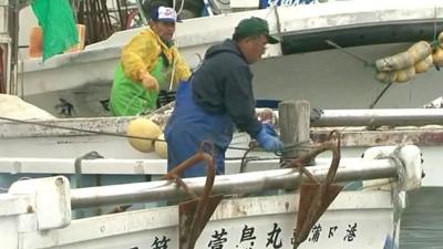 Fishermen in Fukushima