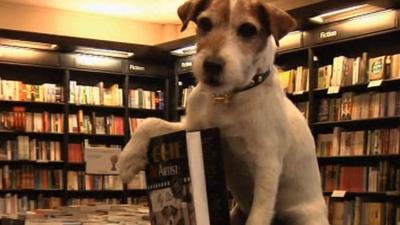 Uggie with his book