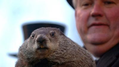 Official Groundhog Handler Bill Deeley holds Punxsutawney Phil