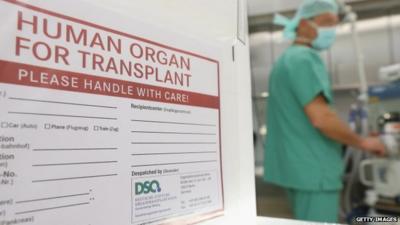 Organ transplant container