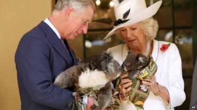 Prince Charles and Camilla, Duchess of Cornwall, hold koalas at Government House, Adelaide