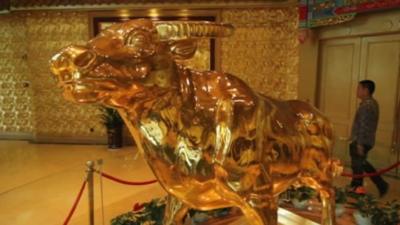 Golden cow