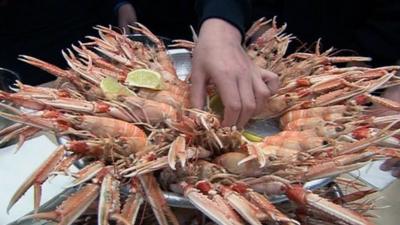 Plate of shellfish