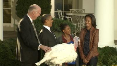 President Obama pardons turkey