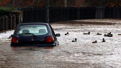 Car and ducks in floodwater in Evesham, Worcestershire