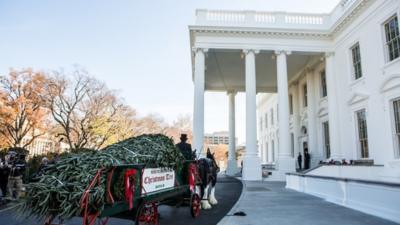 Christmas tree arrives at White Hosue