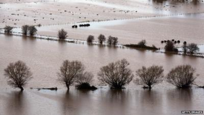 Flooding, Glastonbury