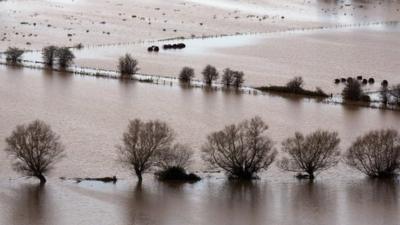 Flooding, Glastonbury