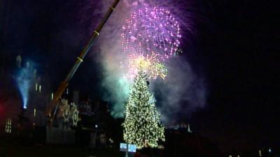 Fireworks over a Christmas tree