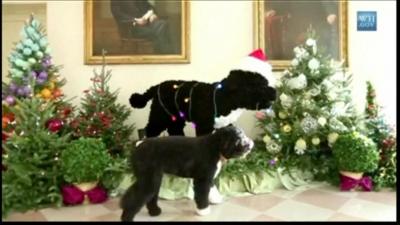 Bo with festive statue of Bo