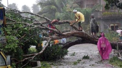 Workers clear a road with a fallen tree after Typhoon Bophal hit the city of Tagum, Davao del Norter province