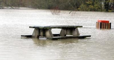 Bench in flooded park