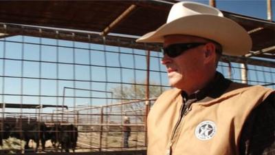 A Texas ranger checking cattle