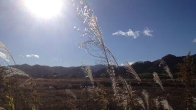 Field in the small village of Tatsuno in Japan