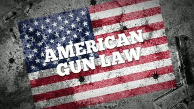 American gun law graphic