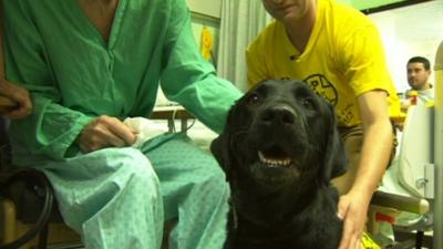 A dog and his owner visit a hospital patient