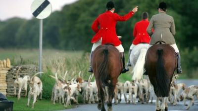 Fox hunt riders and dogs