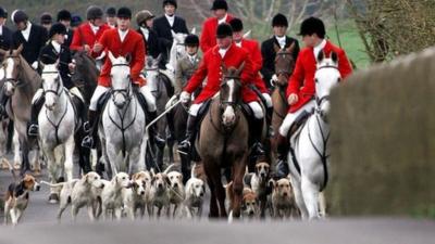 Fox hunt in progress