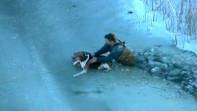 Dog being rescued from the ice