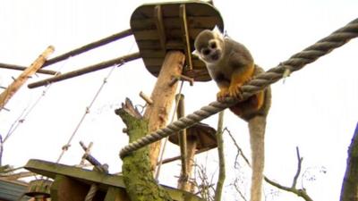 Animals at Yorkshire Wildlife Park