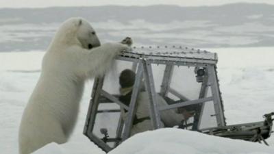 Polar Bear and Gordon Buchanan