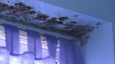 Mould above a window