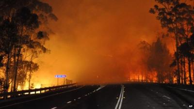 A wildfire near Deans Gap in Australia crosses the Princes Highway