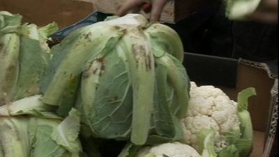 Cauliflowers at market