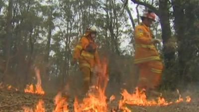 Firefighters in Australia