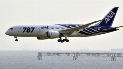 File photo of an All Nippon Airways (ANA) Boeing 787 Dreamliner at Tokyo's Haneda airport