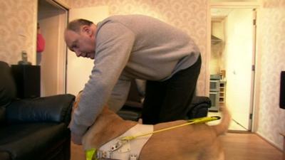 Tony Averis and his guide dog